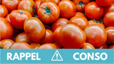 rappel-tomates.jpg