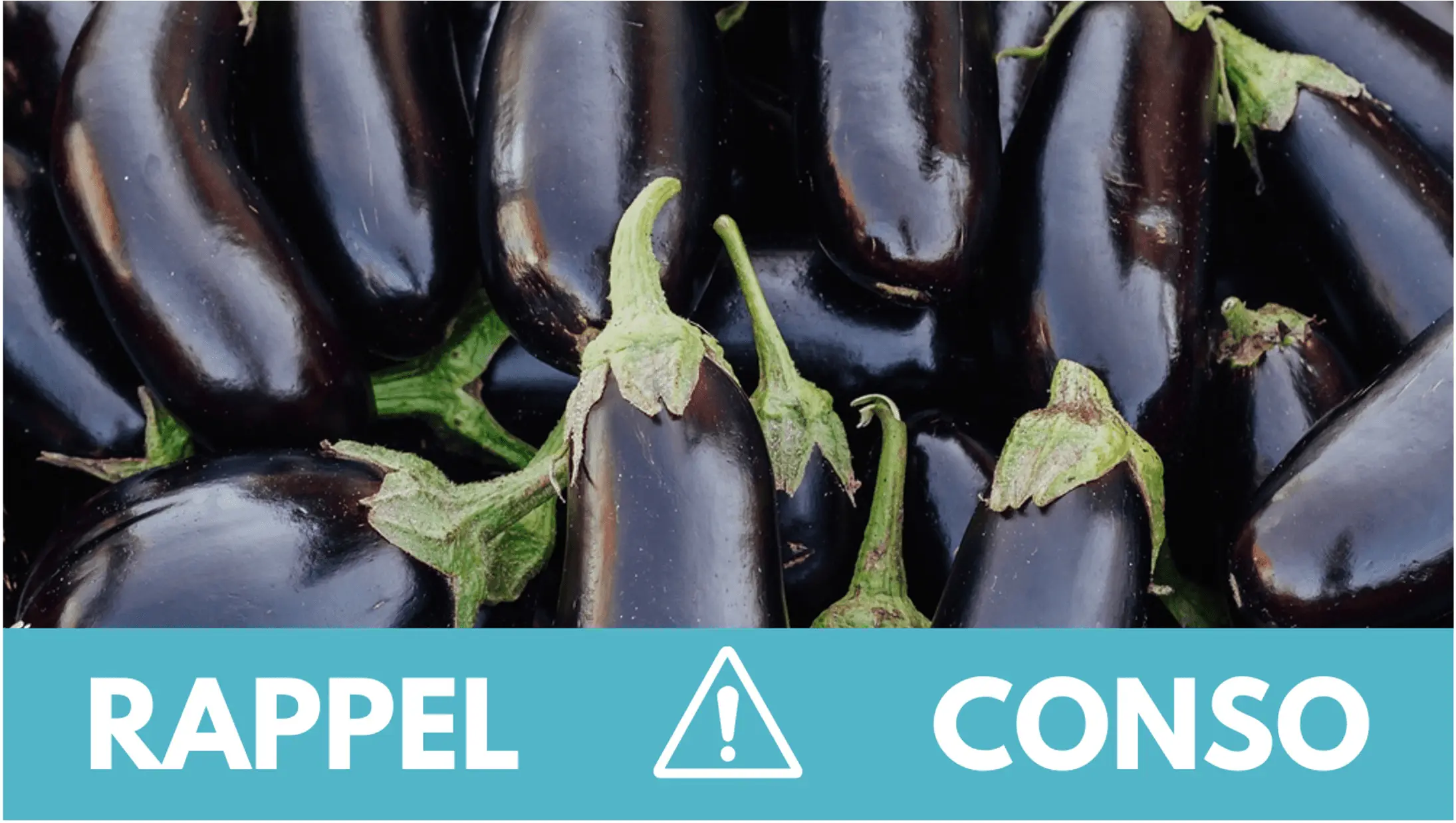 rappel-aubergines.jpg