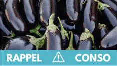 rappel-aubergines.jpg