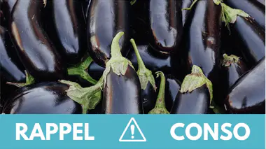 rappel-aubergines.jpg