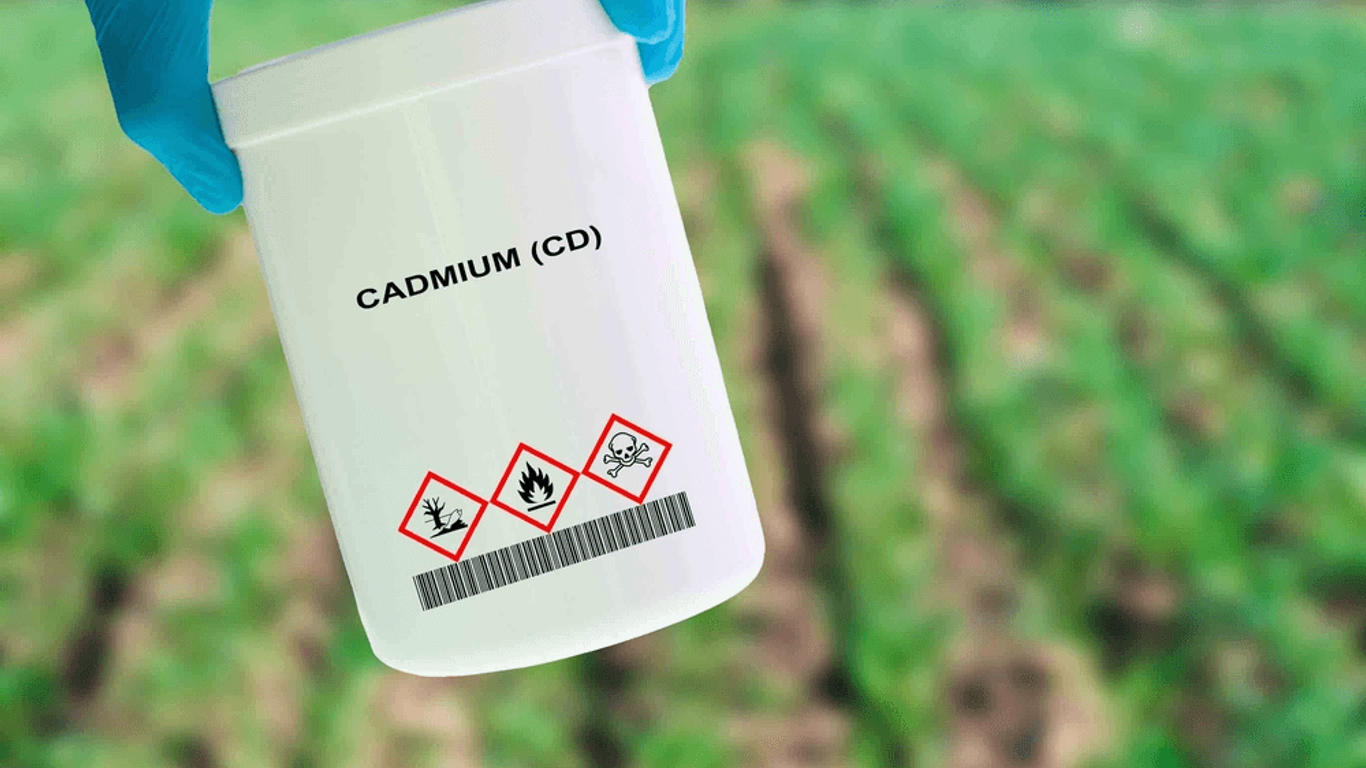 Quelles sont les maladies causées par le cadmium ?