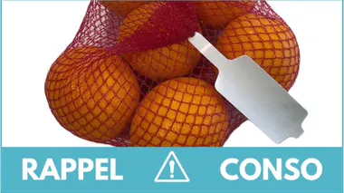 rappel-oranges.jpg