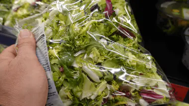 shutterstock_2615049053.jpg