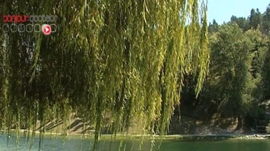 Cancers et fertilité : attention aux poissons d’eau douce !