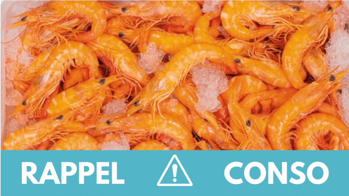 Listeria : ces lots de crevettes contaminés ne doivent pas être consommés