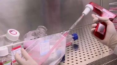 Cancers : la recherche avance à grands pas