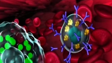 Les allergies alimentaires