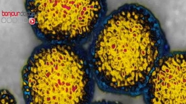 L'hépatite C tue plus que le sida aux Etats-Unis