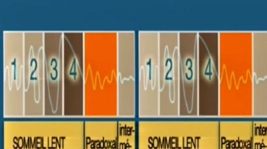Dormir 8 heures d'affilée serait-il contre nature ?