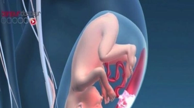 Moins de tabac, moins de prémas