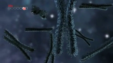 Cancer : une encyclopédie des tumeurs