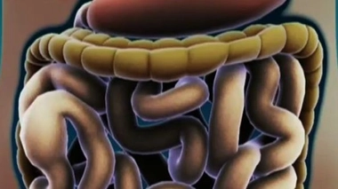 Bien manger… et bouger !