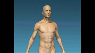 Comprendre les acouphènes