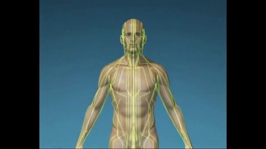 Comprendre l'acupuncture