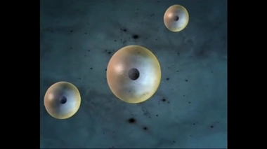 ADN : au cœur des cellules