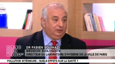 Toutes les plantes d'intérieur sont-elles dépolluantes ?