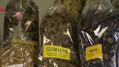 Soigner la constipation par les plantes