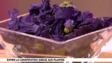 Plantes anti-constipation : sous quelle forme doit-on prendre l'aloe vera ?