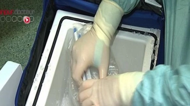 Allemagne : une loi pour augmenter le nombre de dons d'organes