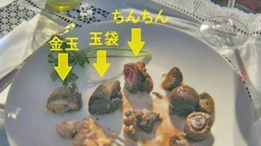 Insolite - Vous reprendrez bien un peu de pénis avant le dessert ?