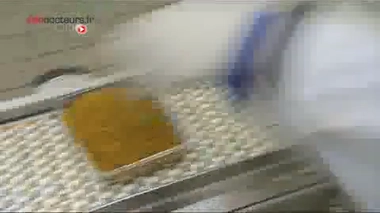 Apithérapie : le pollen d'abeille pour fortifier l'organisme