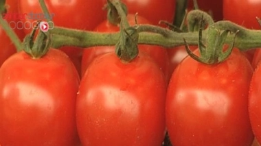 Vers l’interdiction définitive des pesticides à base de métam-sodium