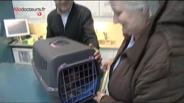 Des colliers anti-puces toxiques pour les enfants