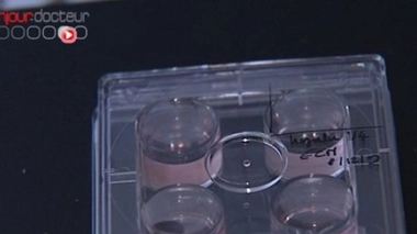 Un bébé à trois parents&nbsp;?