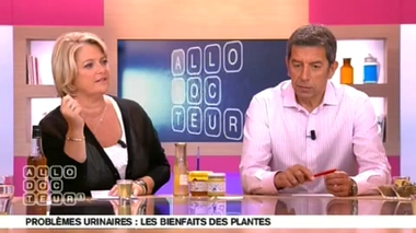 Problèmes urinaires : des plantes pour les femmes enceintes ?