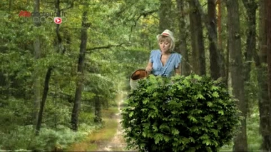 Vrai/Faux : les mûres transmettent-elles la rage ?