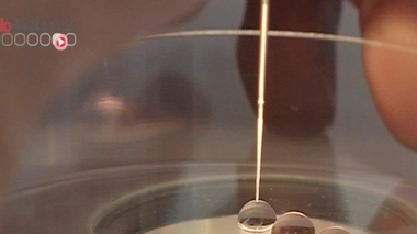 FIV : une ''success story'' de 5 millions de bébés