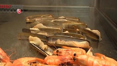 Régimes : comment les protéines coupent-elles la faim ?