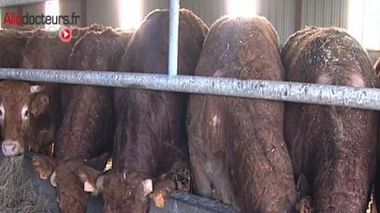 Variante de Creutzfeldt-Jakob : deux nouveaux cas en un mois