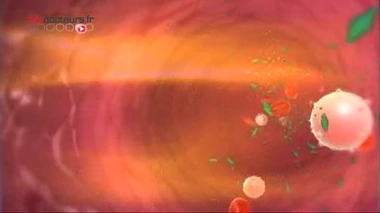 Dons du sang : pour quels malades ?