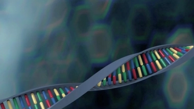 Le premier décryptage complet du génome d'un être humain avait eu lieu en 2003, pour un coût de 3 milliards de dollars.