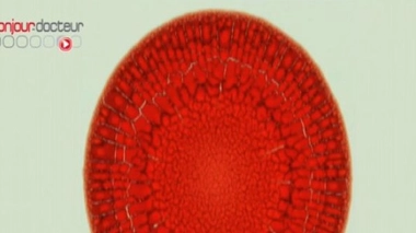 Une goutte de sang pour dater les crimes