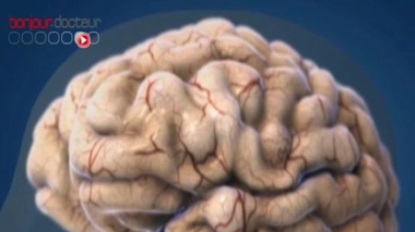 Cerveau et vieillissement : Michel Cymes à Nice