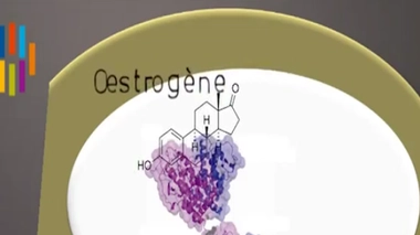 Bisphénol A : vers des produits moins toxiques