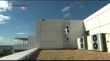 Ambroisie : un pollen très allergisant - Reportage vidéo du 19 septembre 2012