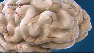 Cerveau : la recherche a besoin de vous !