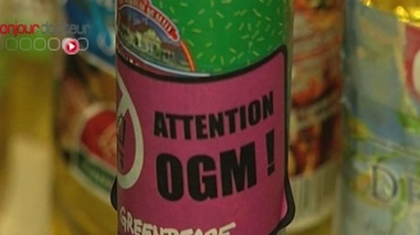 Etude Séralini : pour un débat plus raisonné sur les OGM