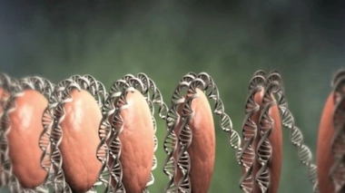 Une maladie rare pour mieux comprendre Alzheimer