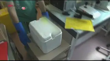 Débat relancé sur la conservation d'ovules sans raison médicale