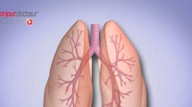 L'amoxicilline ne traite pas toutes les affections respiratoires