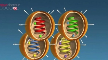 Retour de la grippe A en Haute-Savoie, mais sous contrôle
