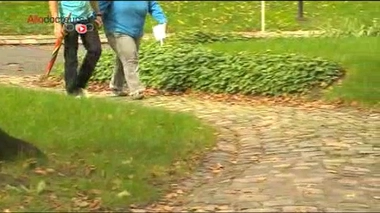 Infertilité masculine : la recherche progresse