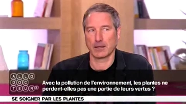 Phytothérapie et pollution