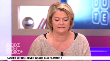 Quelles plantes mettre dans ses plats en hiver ?