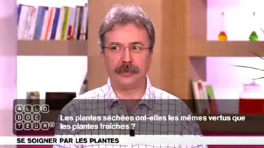 Phytothérapie : plantes fraîches ou séchées ?