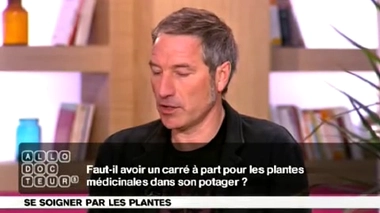 Phytothérapie : quelle place dans le potager ?